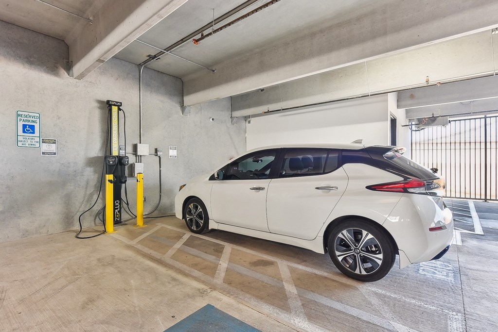 Bridge At Windsor Park