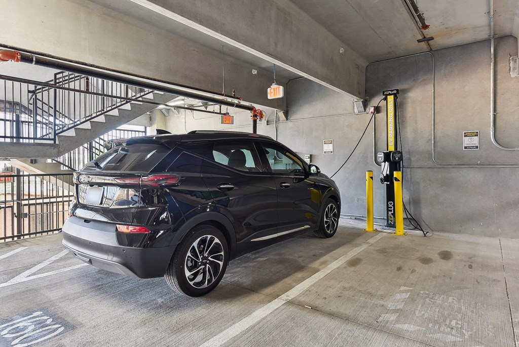 Bridge At Windsor Park