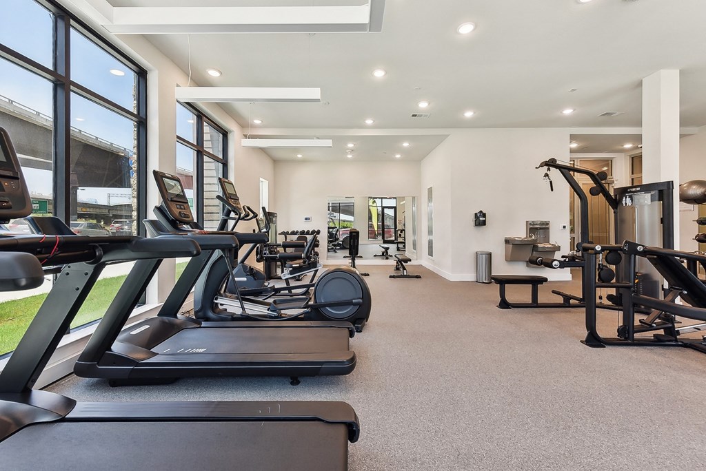 Bridge At Windsor Park