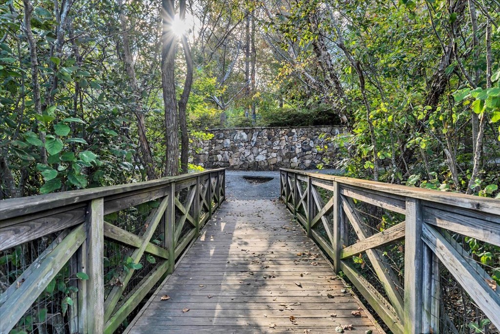 a wooden bridge over a river in a forest