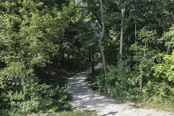 a trail in the woods with trees on both sides  at The Timbers Apartments, Evansville, IN