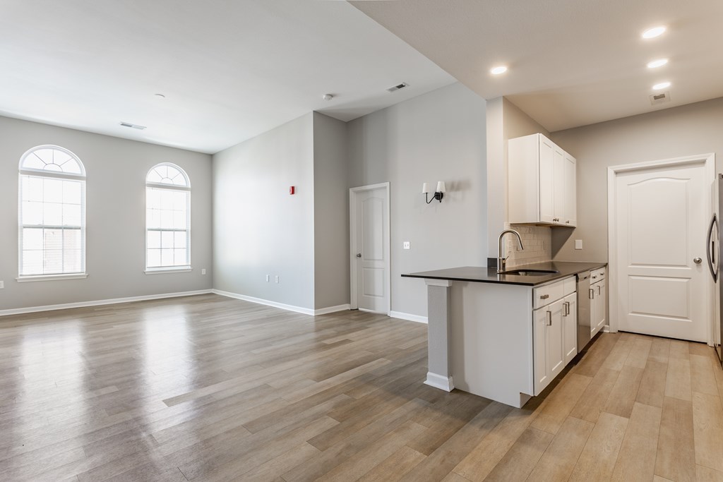 A kitchen with a countertop and cabinets is shown.