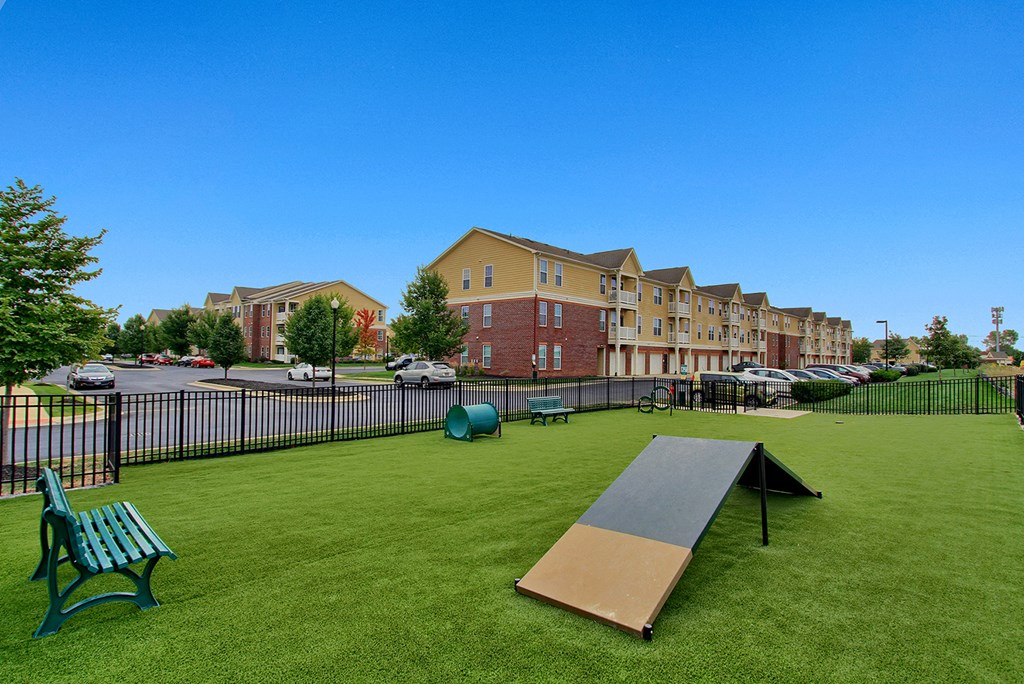 Leash Free Pet Park Featuring Pet Agility Equipment including ramp and tunnel