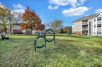 Dog park at Trophy Club at Bellgrade, Midlothian, VA, 23113