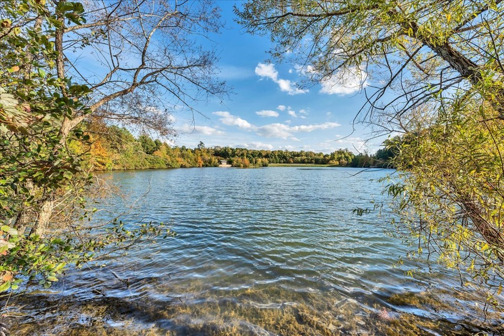 a view of a lake with trees on the side of it
