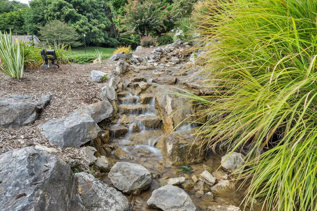 a small w at Sunscape Apartments, Roanoke, 24018