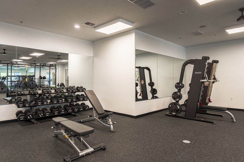 a spacious fitness room with free weights and mirrorsat The Harbours Apartments, Clinton Twp