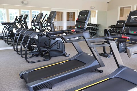 A row of treadmills and elliptical machines in a gym.