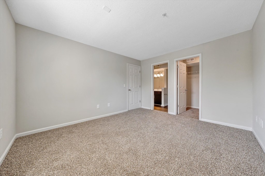 a bedroom with gray walls and carpet at Sunscape Apartments, Virginia