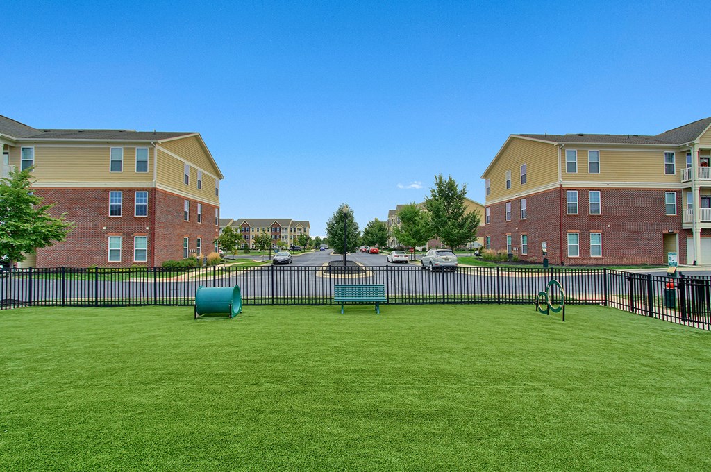 Leash Free Pet Park Featuring Pet Agility Equipment including tunnel and multi level hoops