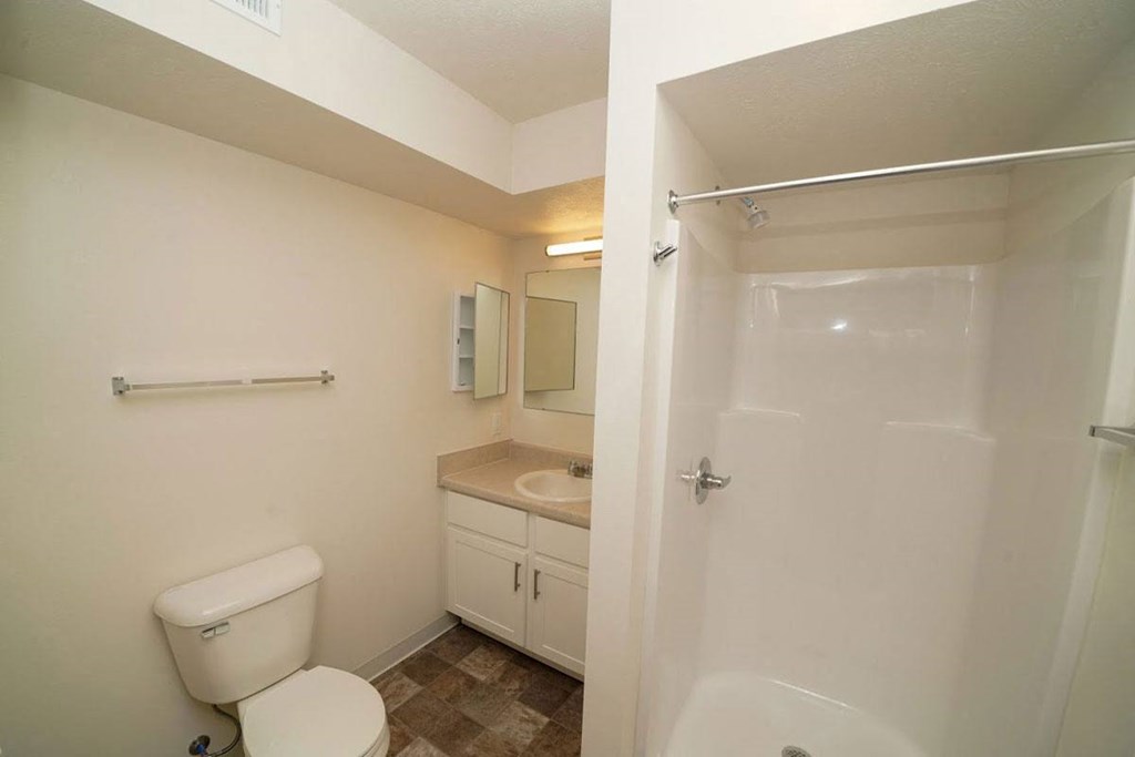 Bathroom with a shower inside a bedroom