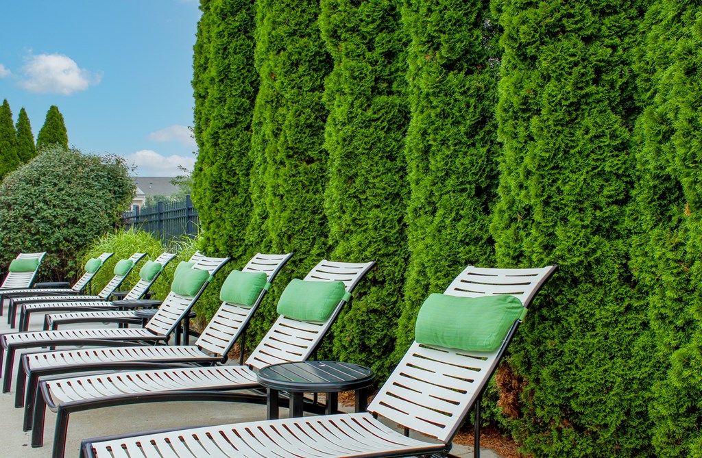 a row of chaise lounges in front of a tall green hedge  at Alexandria of Carmel Apartments, Indiana, 46032