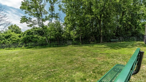 A green bench sits in a grassy field with trees in the background