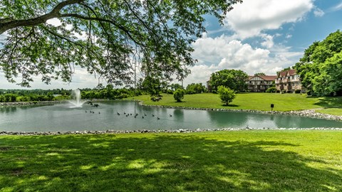 A serene park with a pond, ducks, and a fountain