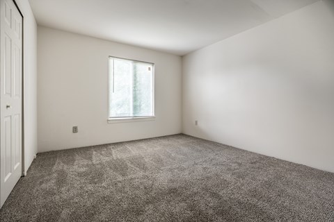 A room with a carpeted floor and a window