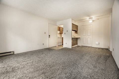 A room with a grey carpet and white walls