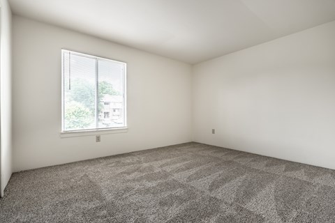 A room with a carpeted floor and a window