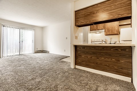 A room with a carpeted floor and a kitchen area with wooden cabinets