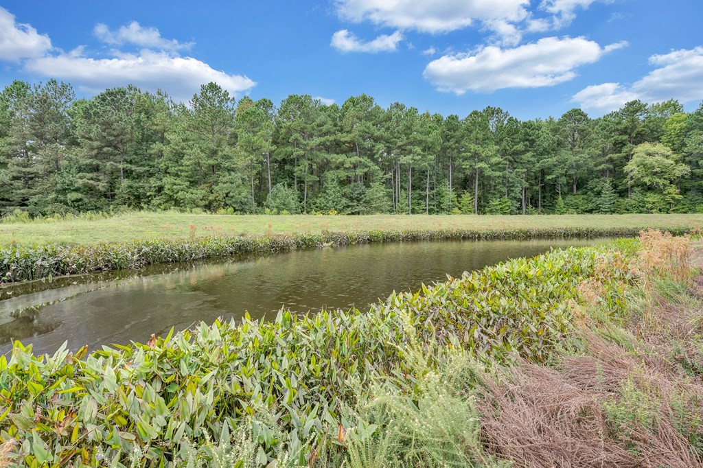 Green Space at Avellan Springs Apartments, Morrisville