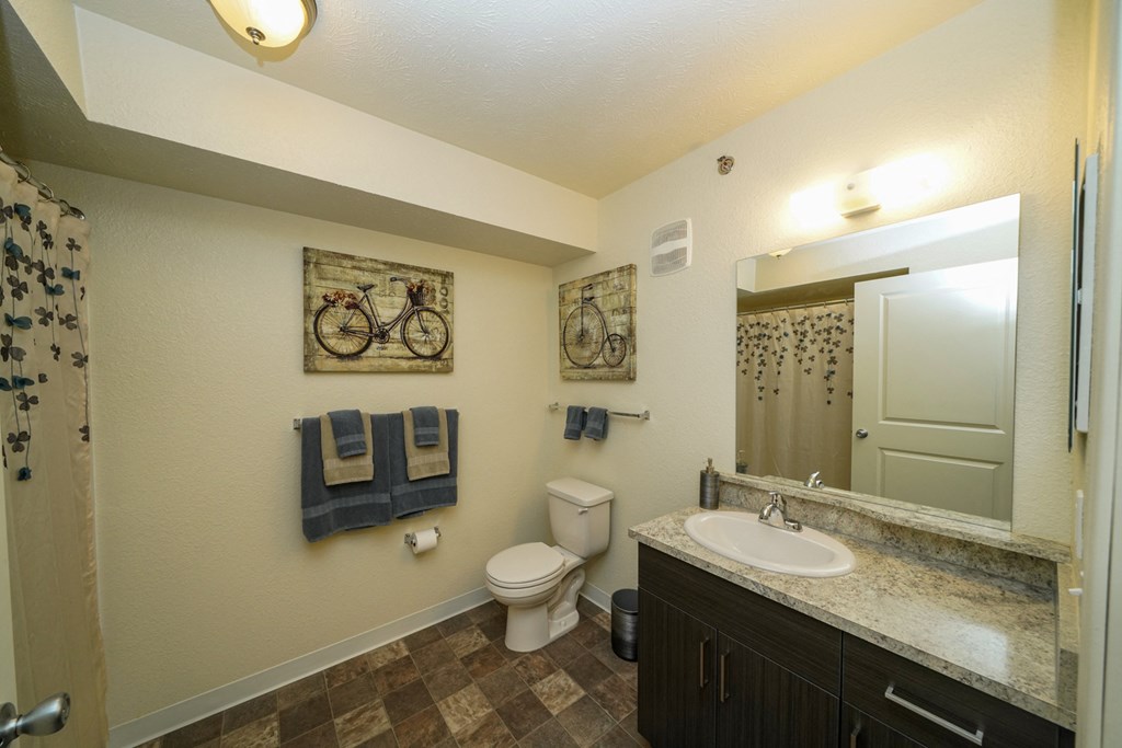 Large Bathrooms at Andover Pointe Apartment Homes, La Vista, NE