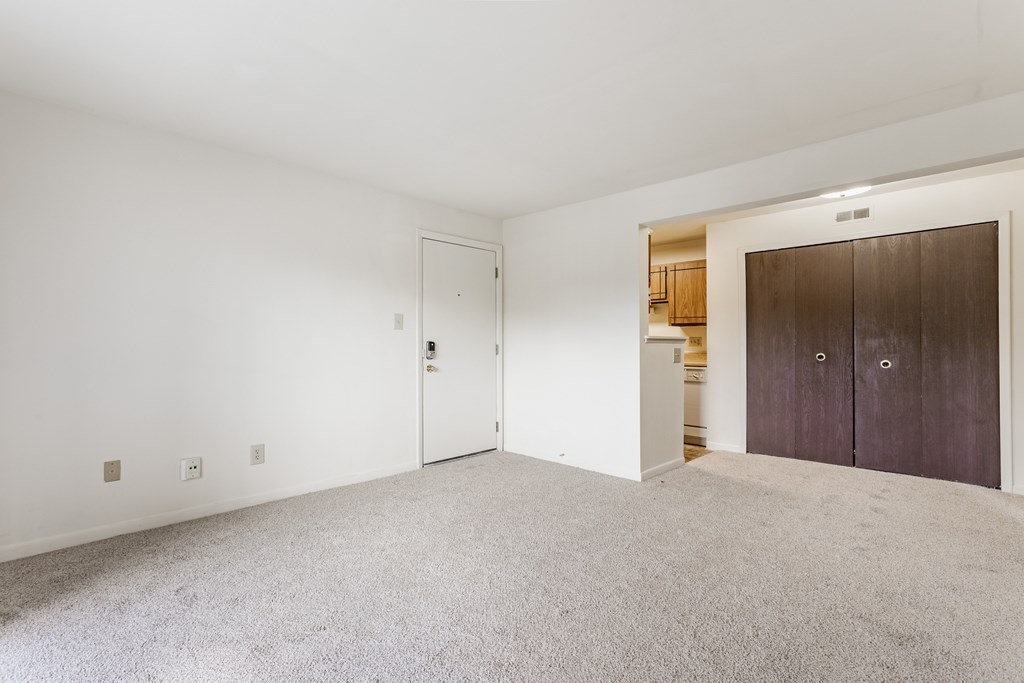 A room with a white door and a brown wardrobe