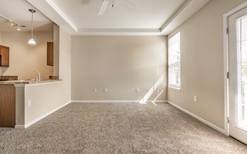 A spacious room with a kitchen area and a carpeted floor