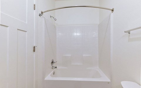 Shower and Soaking Tub in Master Bath at Chase Creek Apartment Homes, Huntsville, AL, 35811