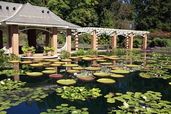 Huntsville Botanical Garden is a Short Drive Away Property Image