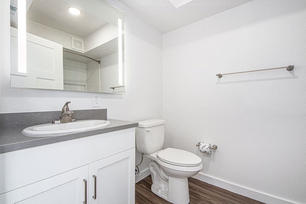 Master Bath at The Crossings Apartments, Grand Rapids, Michigan