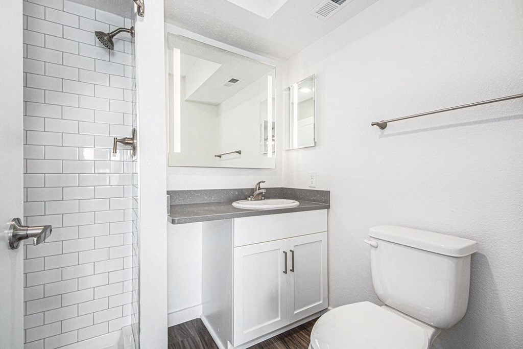 Second Bath with Walk-In Shower at The Crossings Apartments, Grand Rapids, Michigan