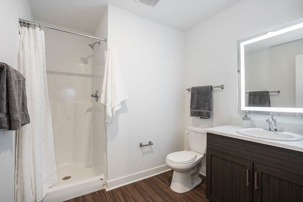 Spacious Bath with Walk In Shower at Meadowbrooke Apartment Homes in Kentwood, MI 49512
