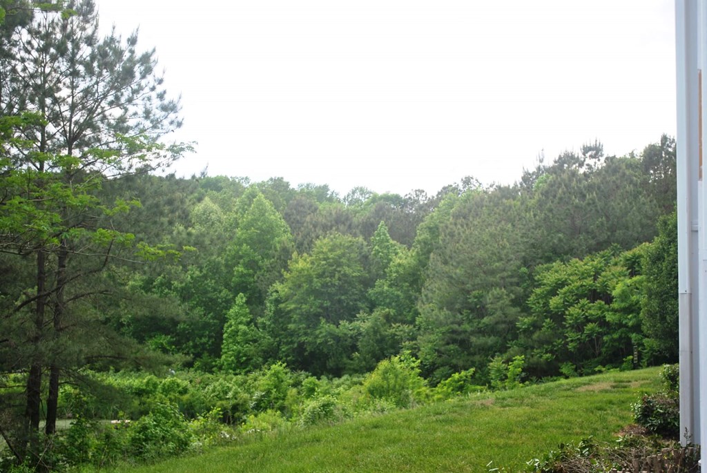 Community View at The Vinings Apartments, Richmond, Virginia