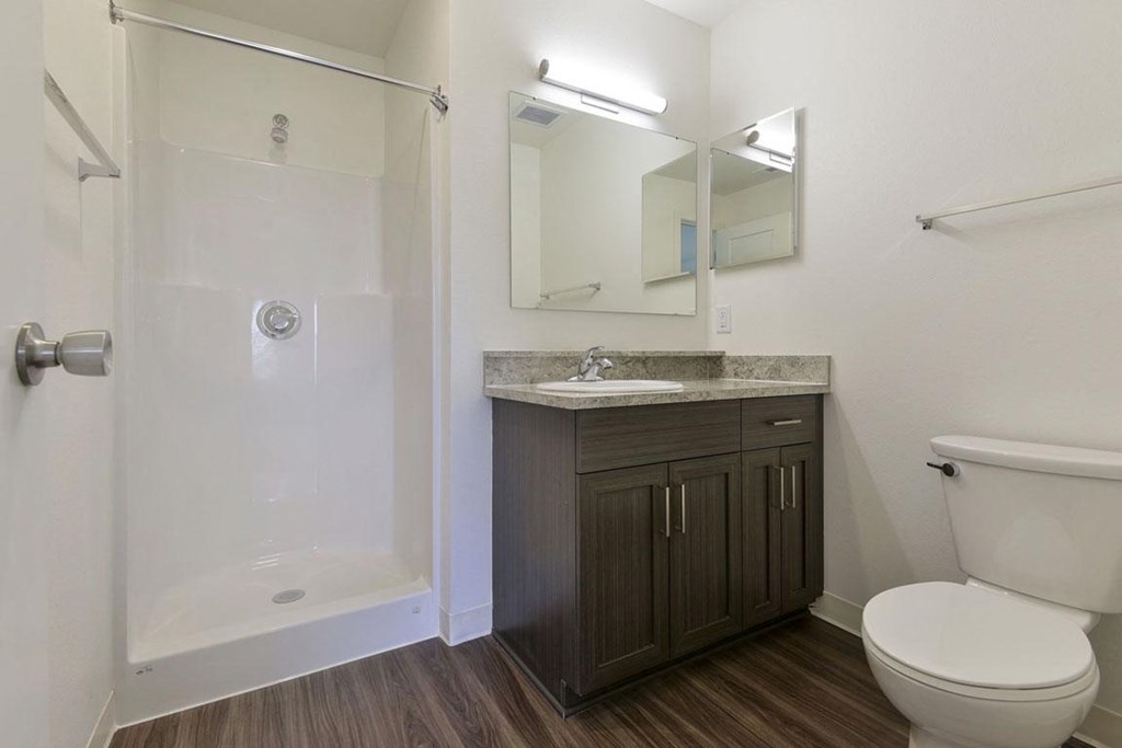 2nd Bathroom with Walk-In Shower at Dodson Pointe Apartment Homes in Rogers, AR