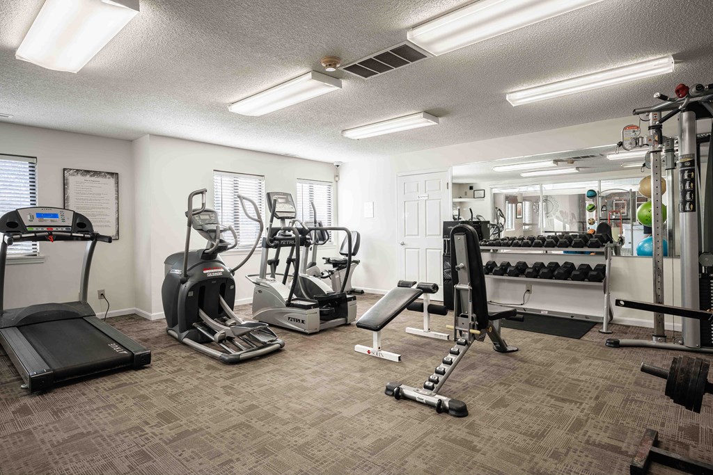 A well-equipped gym with treadmills, elliptical machines, and weightlifting equipment