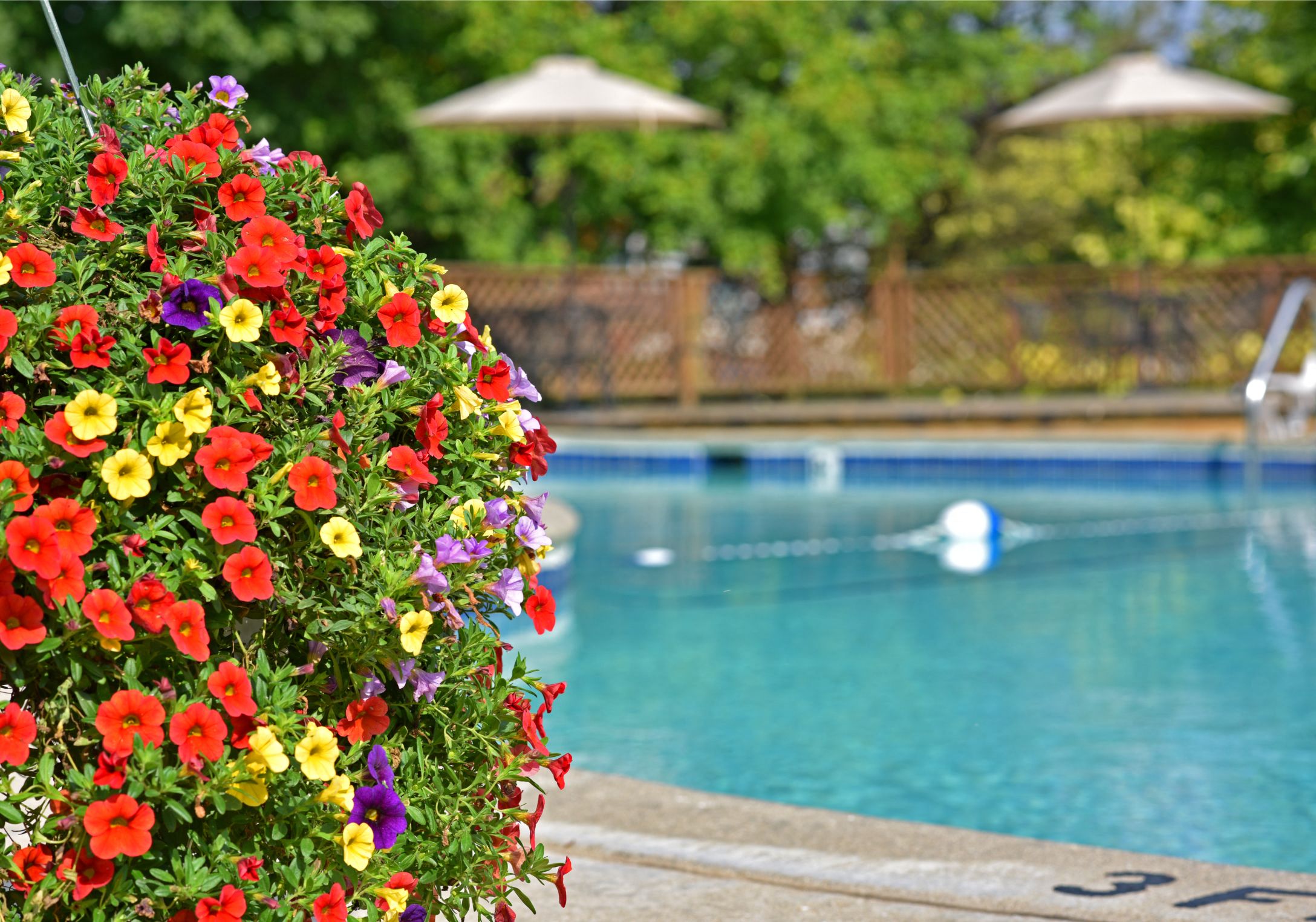 Sparkling Swimming Pool at Bristol Square & Golden Gate Apartments in Wixom, MI