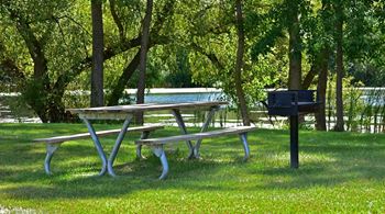 a picnic table and a barbecue grill in a park at Windsor Place, Davison