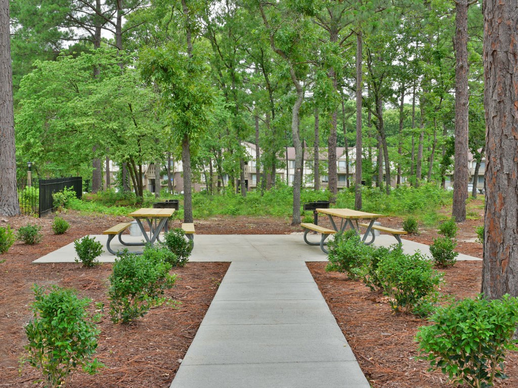 BBQ/Picnic Area at Lake in the Pines, North Carolina