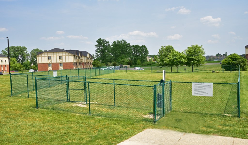 Let your Furry Friend run off-leash