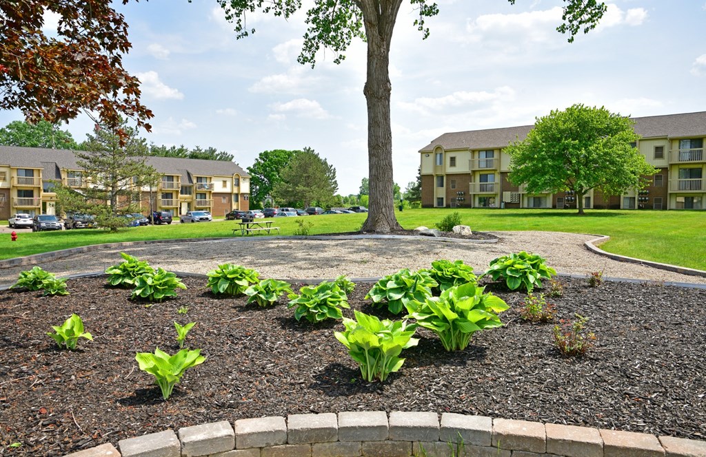 Green Space in Courtyard