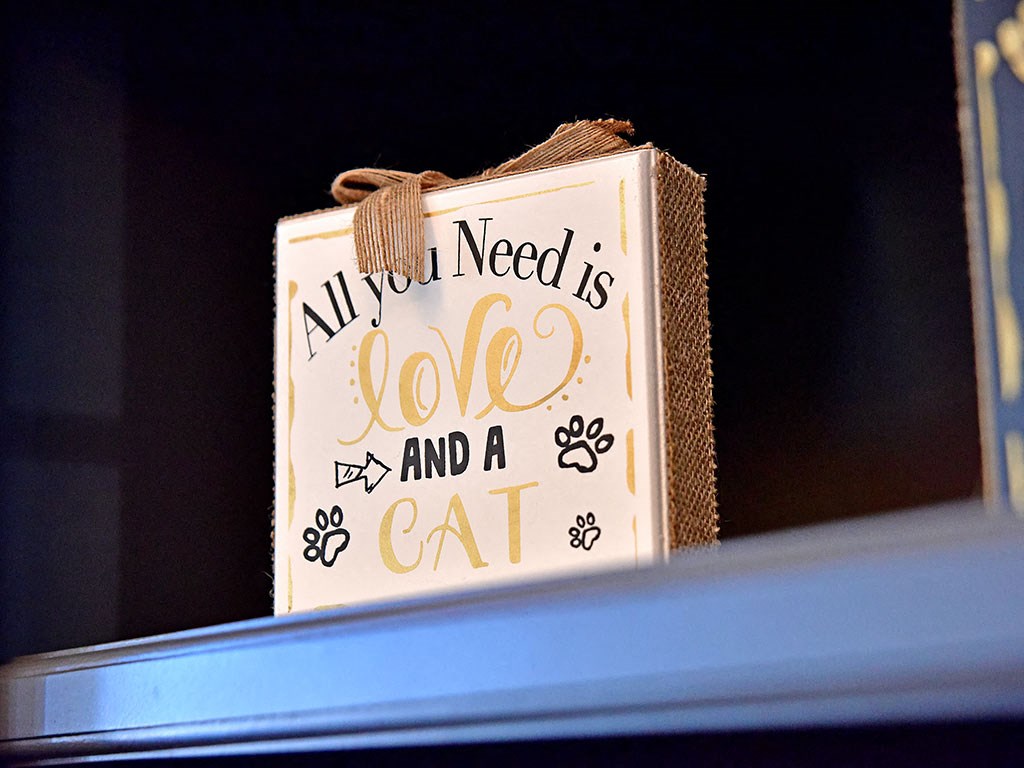 Joyful Experience  at Timberlane Apartments, Peoria, 61615