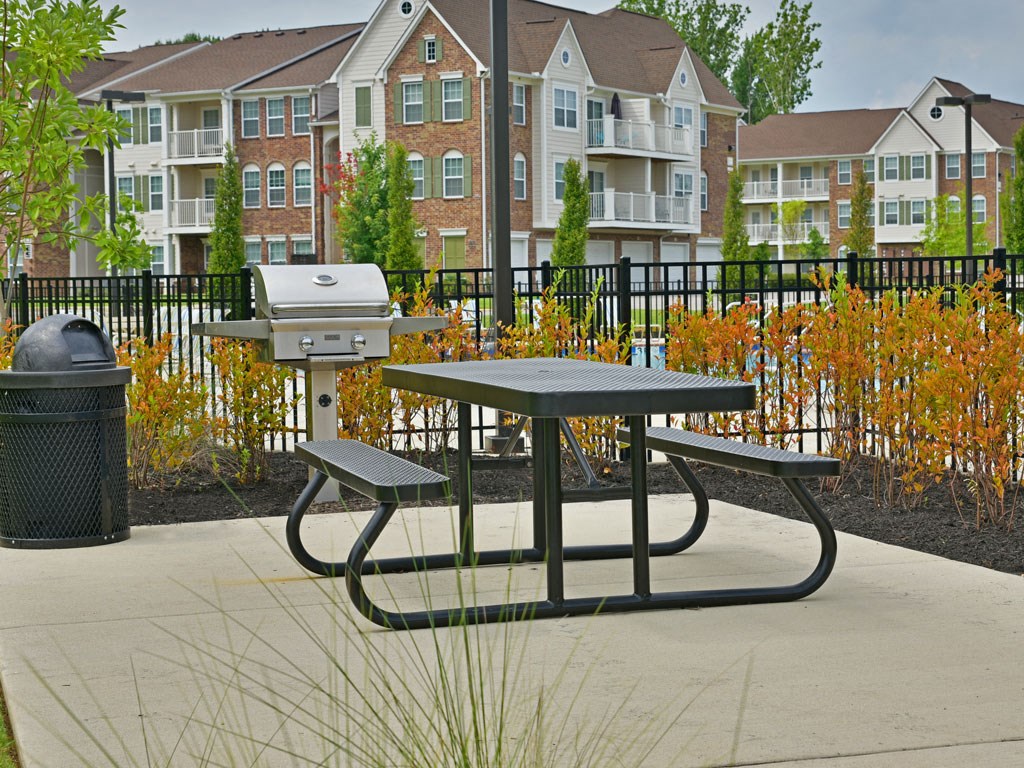 Grill and Picnic Area at Irene Woods Apartments, Collierville, 38017