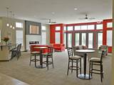 1-bedroom apartment at Irene Woods Apartments in Collierville