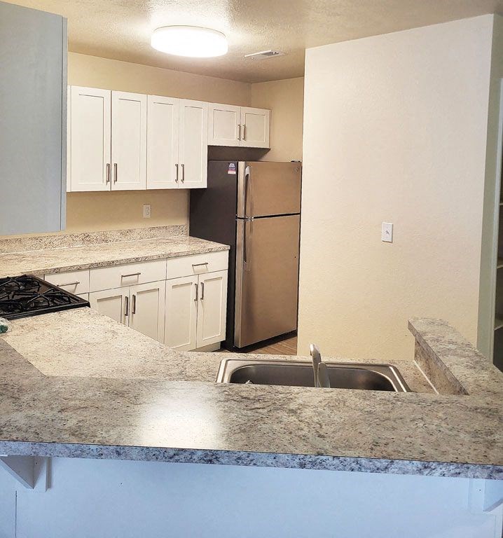 renovated kitchen with stainless steel appliances