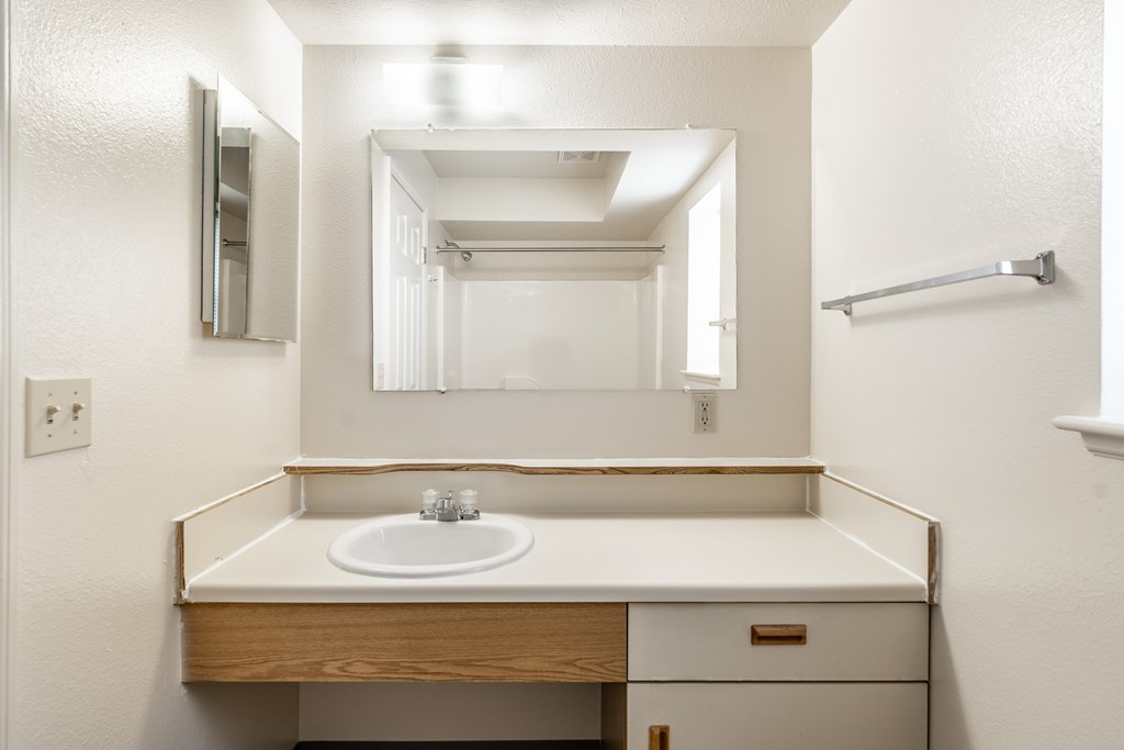 A bathroom with a sink and mirror