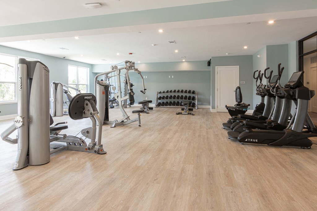 the gym is equipped with a variety of weights and cardio equipment