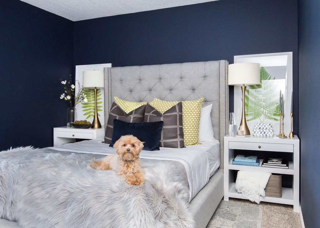 Pet Friendly Apartments at Trophy Club at Bellgrade, Midlothian, VA