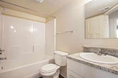 upgraded bathroom with a sink toilet and a mirror at Old Farm Apartments, Elkhart, Indiana