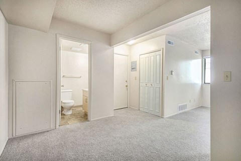 studio entry with plush carpet and bathroom at Old Farm Apartments, Elkhart, Indiana