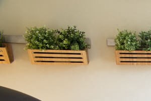 Plant Decorative Wall Plant Decorative Wall, At Bella Vista Apartments, Fishers IN