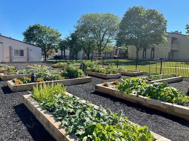 Community Gardens are available!